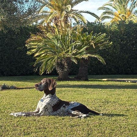 La Calma Espectacular Villa Con Jardin Y Piscina En Menorca S'Algar Luaran gambar